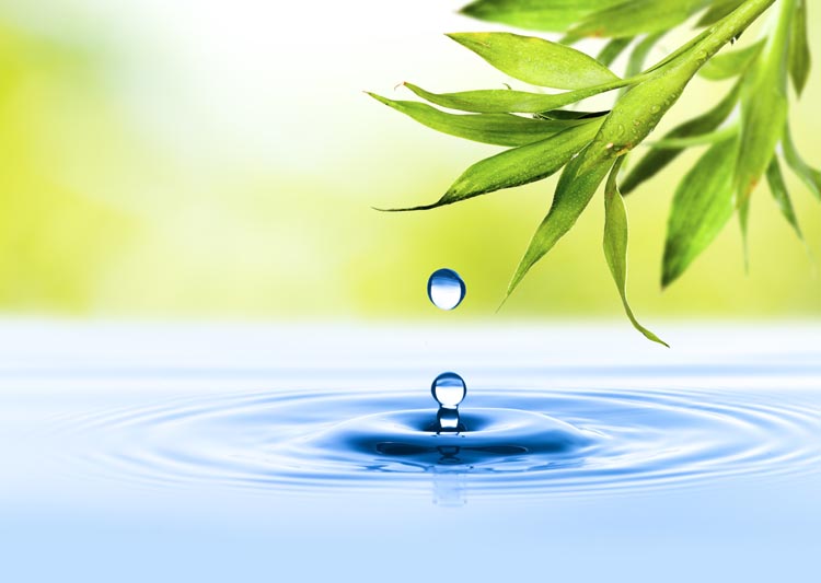 Colon Hydrotherapy Morris County NJ Colon Hydrotherapy Morris County NJ